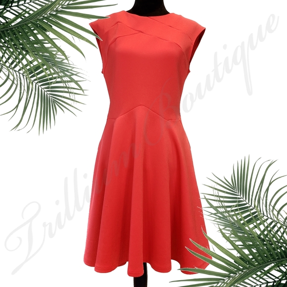 Ted Baker London Dresses & Skirts - Ted Baker London Sew In Love Scuba Dress 3/US 8